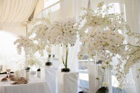 deco vin d honneur