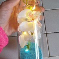 Nous nous marions le 18 Juin 2022 - Côte d'or - 1