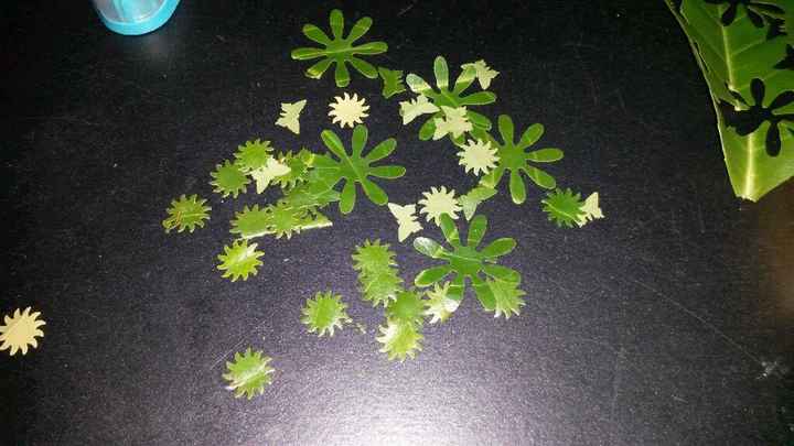 Confettis végétaux quelles feuilles utiliser? - 1