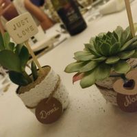 Contenant succulente - 1