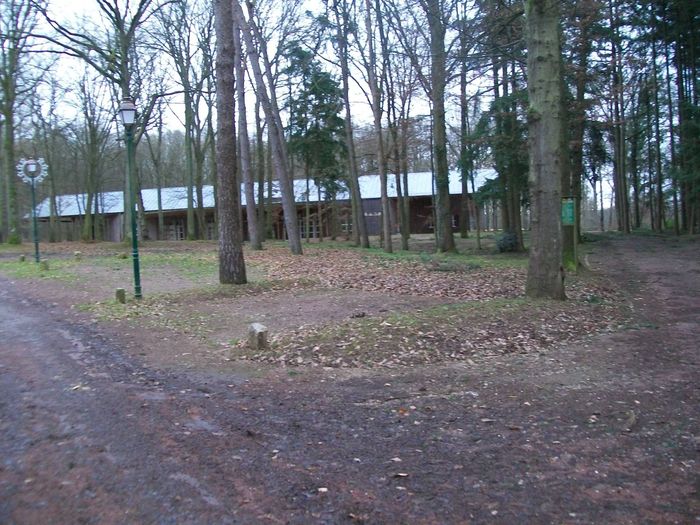 ma salle dans les bois