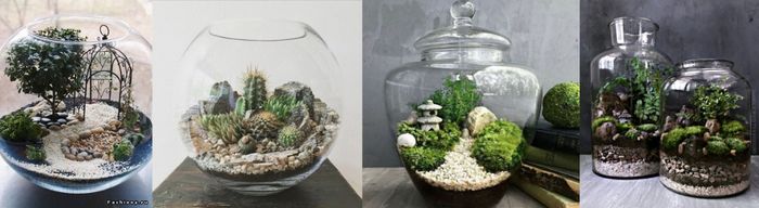 Hésitation centre de table 2