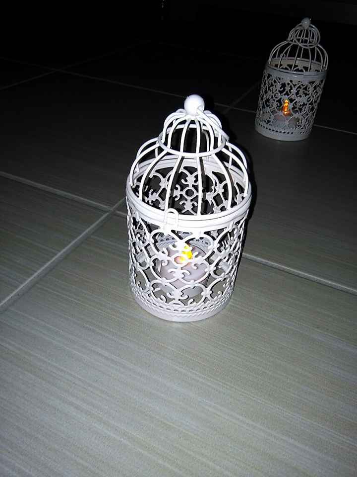Mini cage - 1