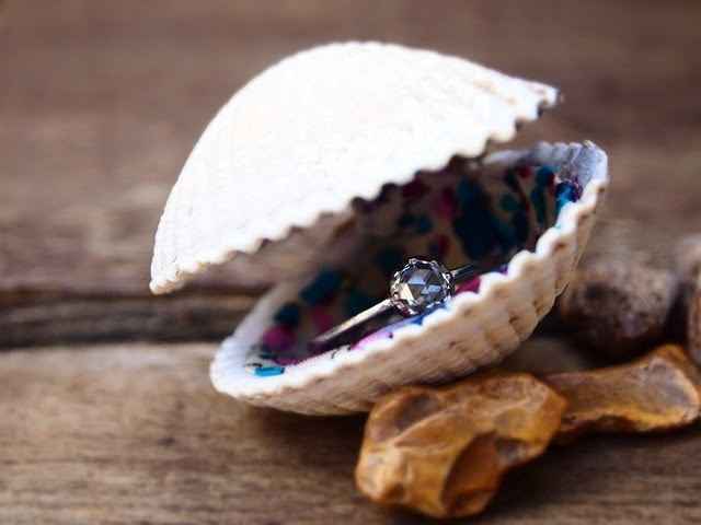 coquillage