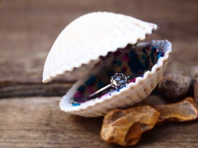 coquillage