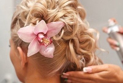 chignon 1