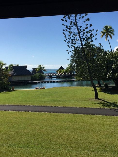 En direct de polynesie... - 2