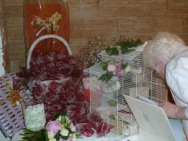 La cage à oiseaux pour les enveloppes