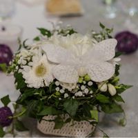 Encore des etoiles pleins les yeux ! - 1