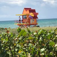 Voyage de noces en Floride: le récit - 1