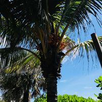 Voyage de noces en Floride: le récit - 2