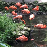 Voyage de noces en Floride: le récit - 2