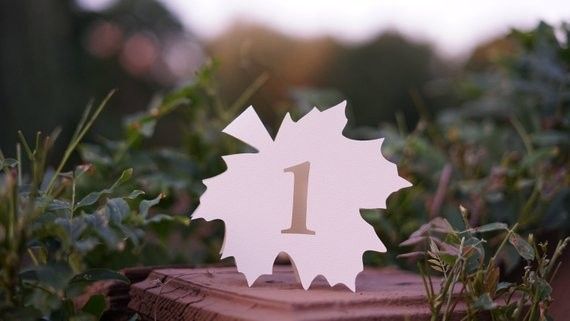 Thème forêt - décorations et feuillages 11