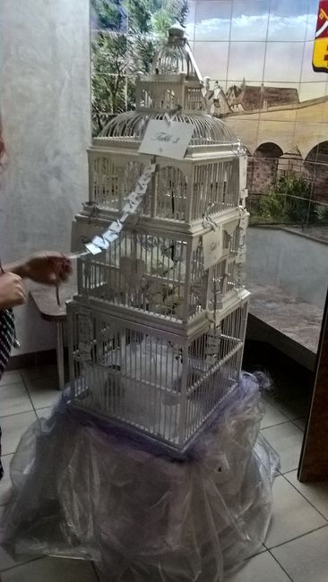 plan de table cage oiseaux