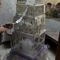 plan de table cage oiseaux
