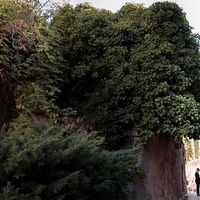 Photos de couple - 9