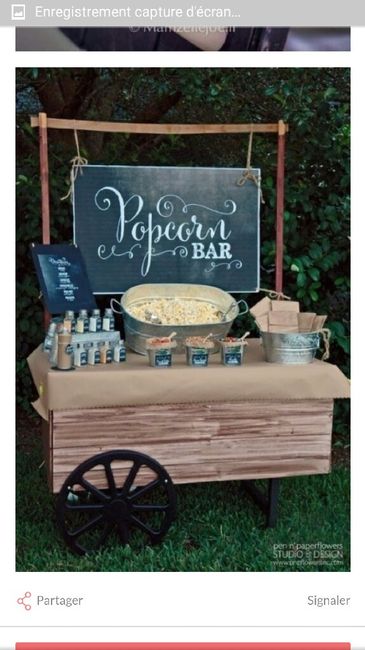 Voila toutes les idées de mon mariage - 13