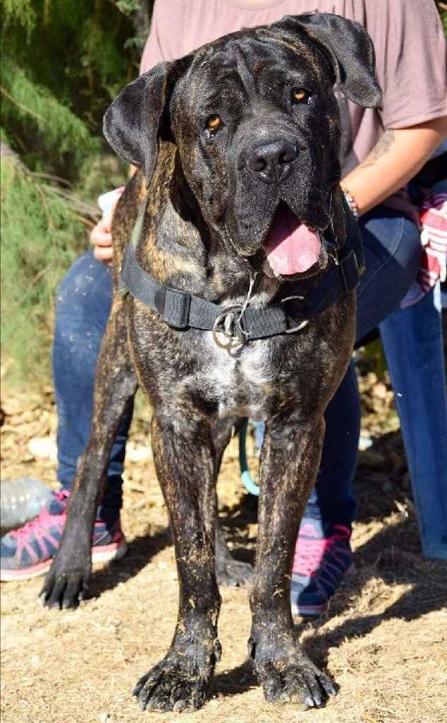 Dernier colis Aliexpress 😉 - 2