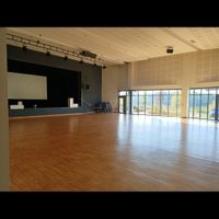 Plafond salle des fêtes - 1