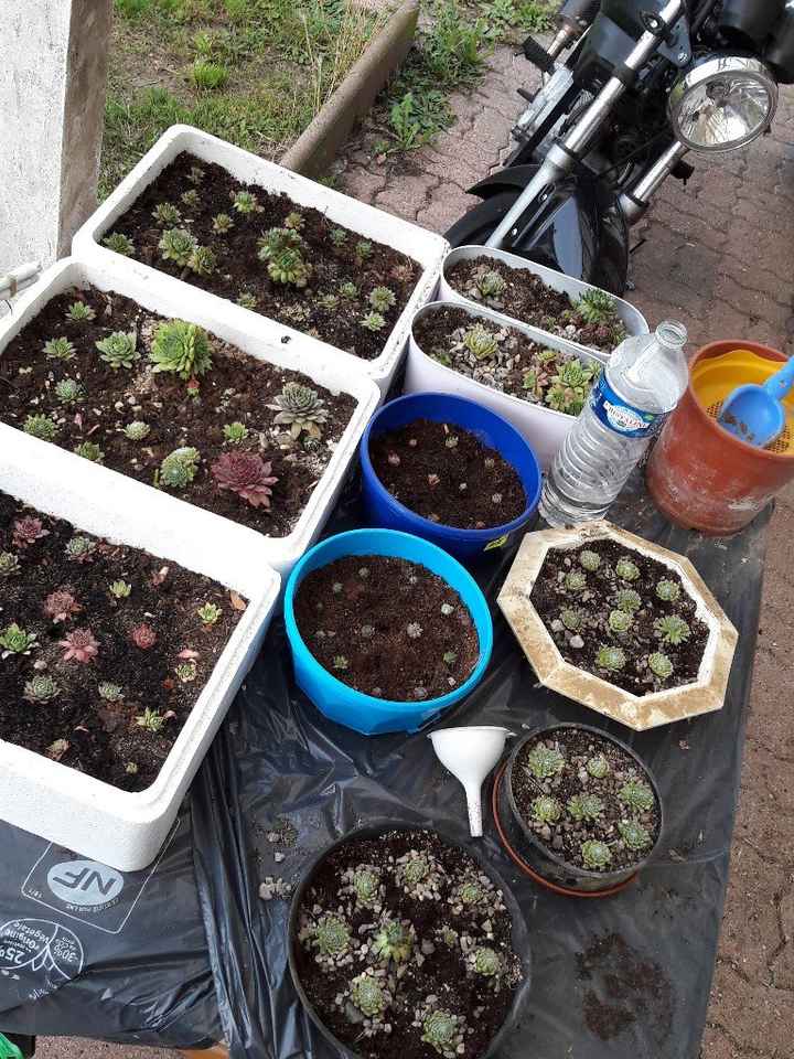 J moins 90 jours, donc dans 3 mois, je danserais toute la nuit dans ma robe de mariée ^^ Petite avan