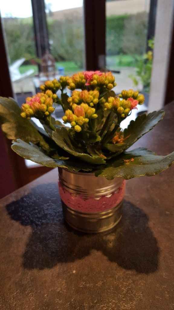 Essai vase boite de conserve