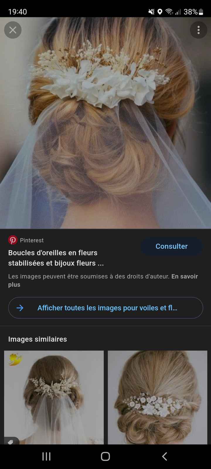 Peigne à fleurs et voile - 1