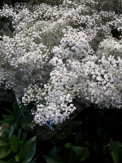 Avancée d'idées déco - 1