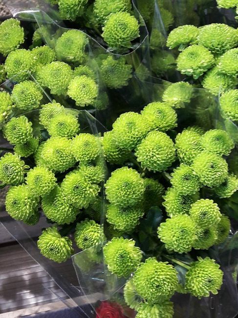 Avancée d'idées déco - 2