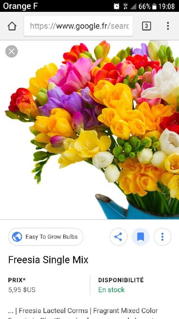 Fleurs en veux tu en voilà - 2