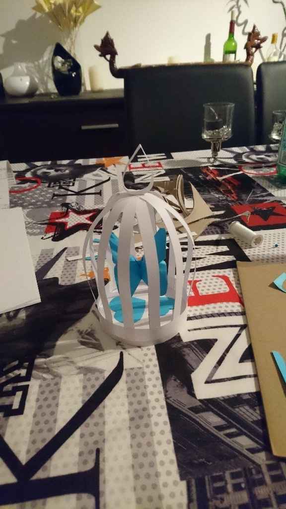 cage papillon