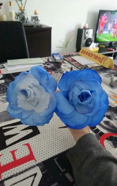 Diy du jour - 1