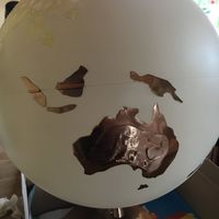 Urne globe problème - 2