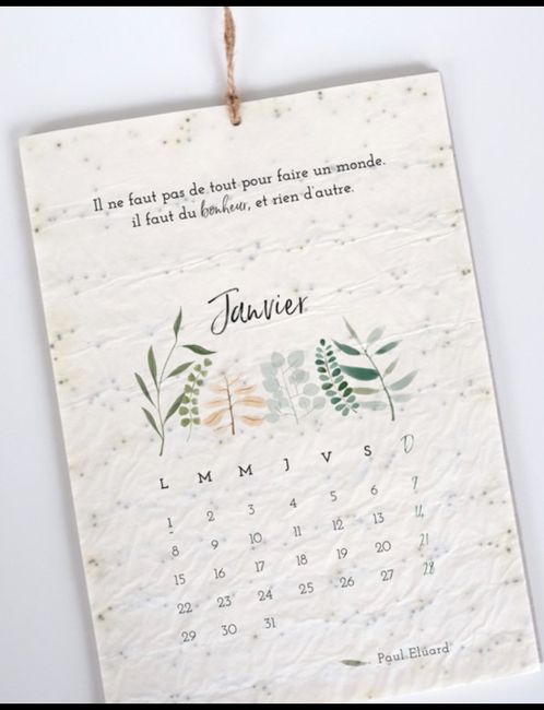 Du papier ensemencé (faire part, carte de remerciement ...) 4