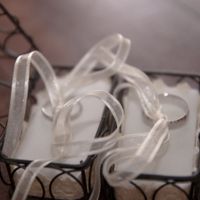 nos alliances prêtes !!!