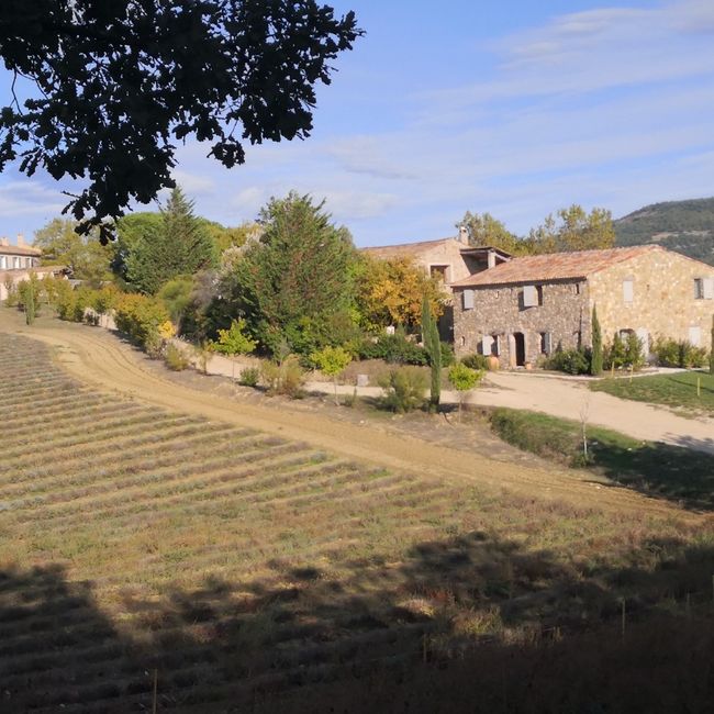 Le lieu où tu feras la fête ... 1