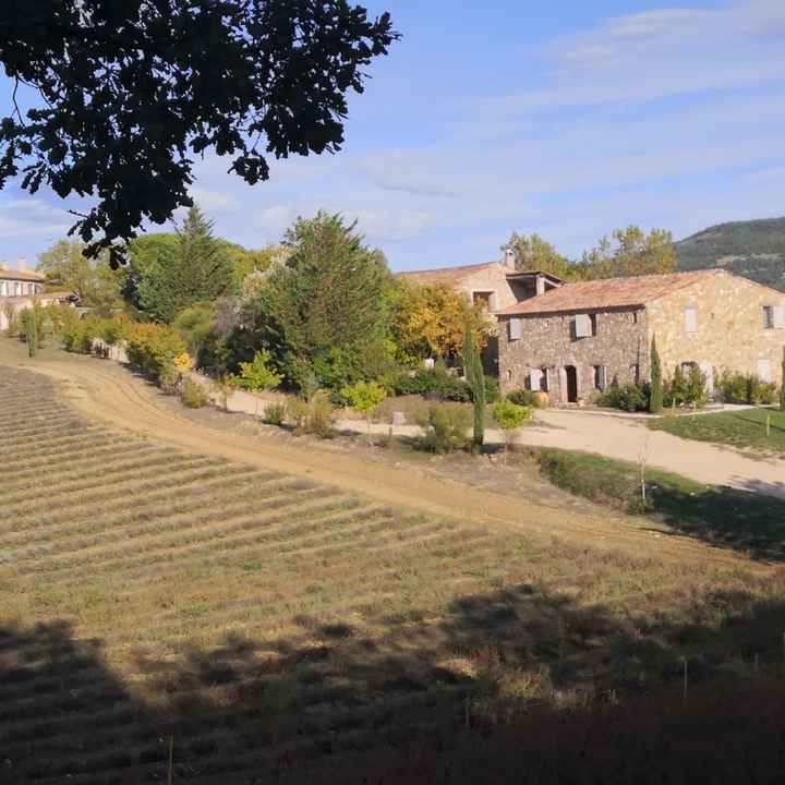 Le lieu où tu feras la fête ... - 1