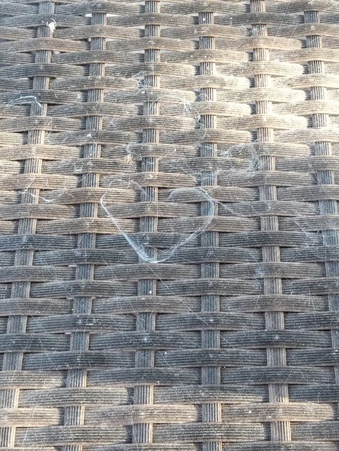 Signes spirituelles, mariage et amour 1