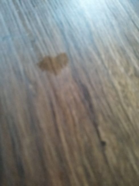 Signes spirituelles, mariage et amour 3