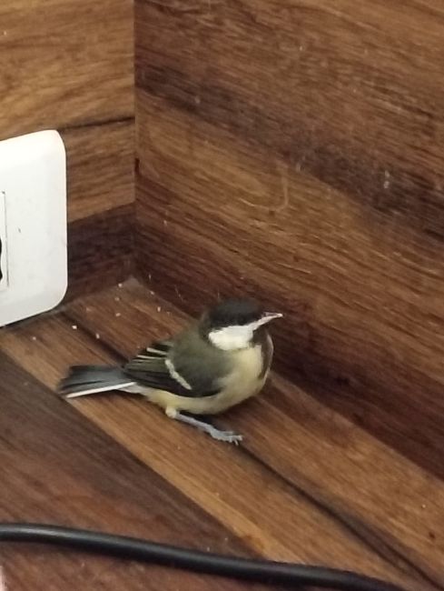 Signes spirituelles, mariage et amour 5