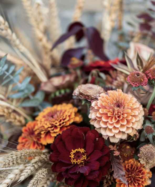 Mariage en automne - 1