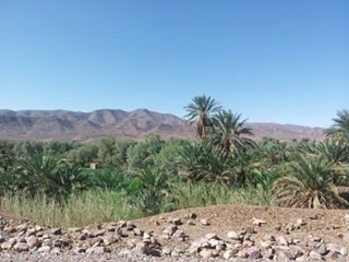 Nous partons pour le maroc  - 1