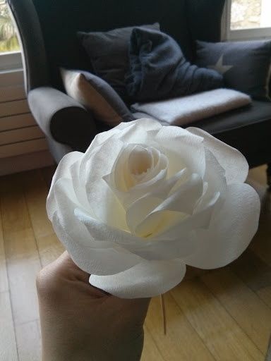 Fleurs en filtre à café