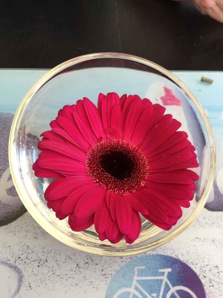 Décorations de tables sans fleurs - 1