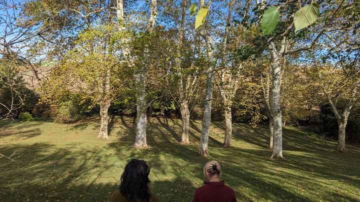 Coup de cœur pour notre lieu de réception - 7