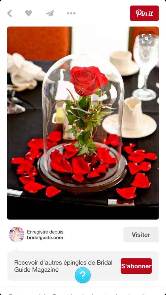Fleurs, besoin de vous svp ! - 2