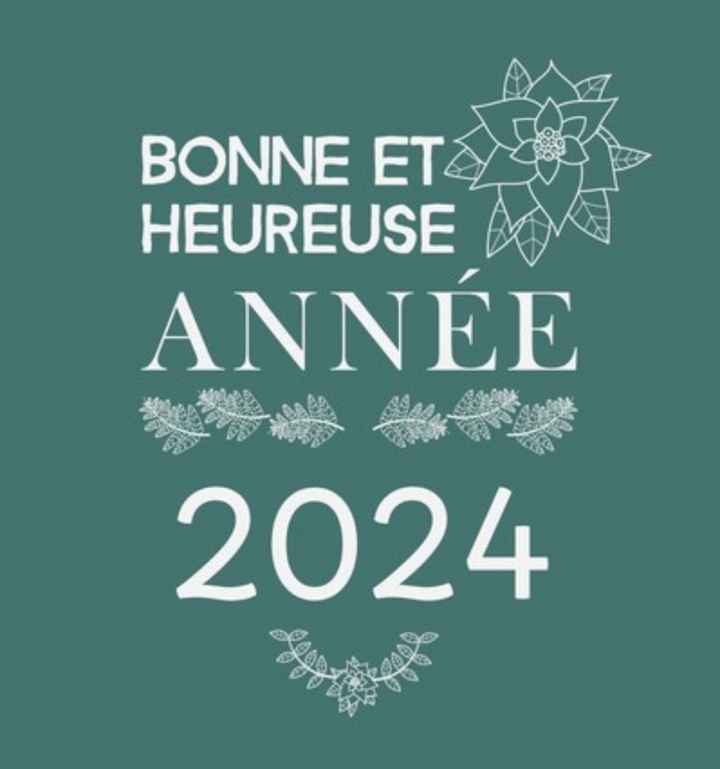 Bonne année 🎉🎉 - 1