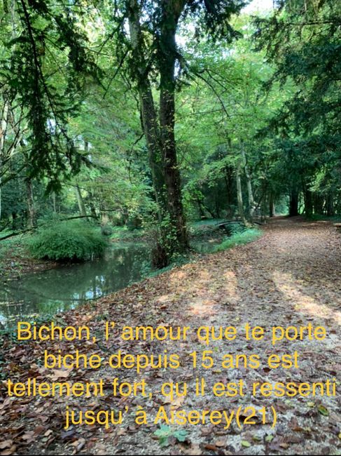 Love note toujours à la recherche.. 1