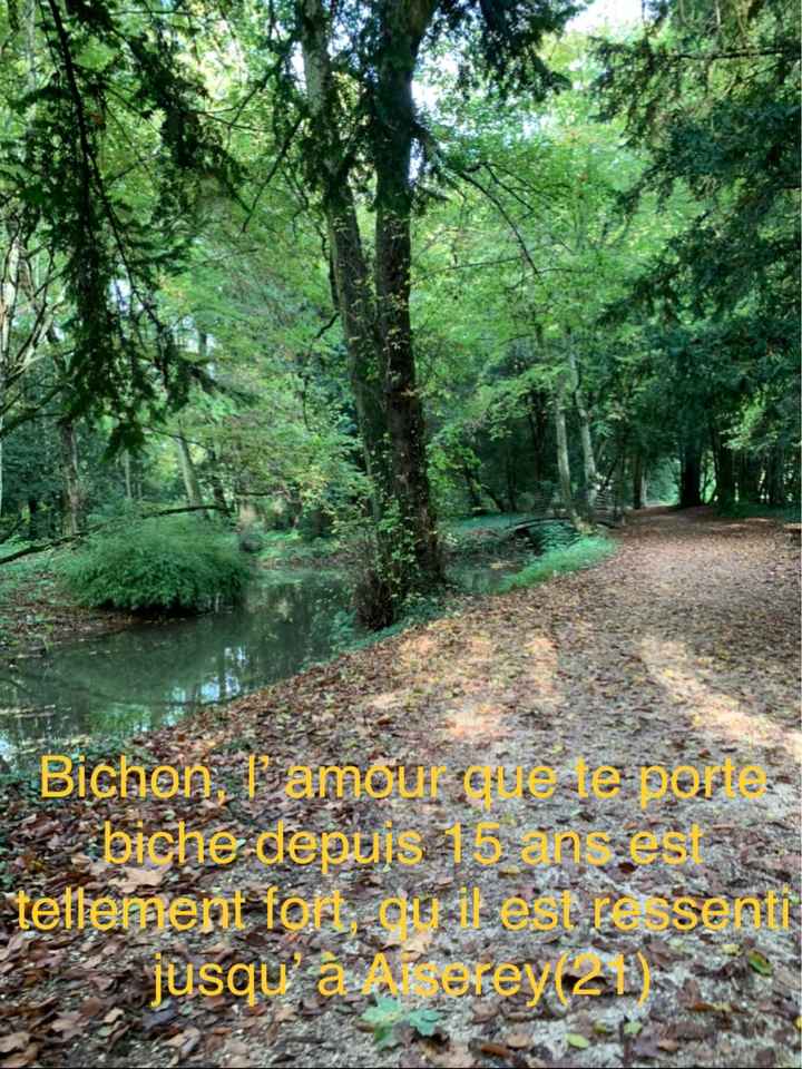 Love note toujours à la recherche.. - 1