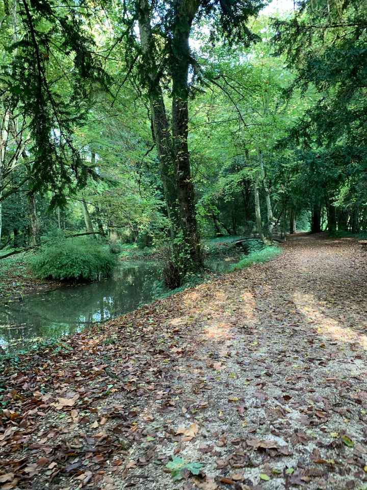 Recherche salle des fêtes aux alentours de Dijon - 4