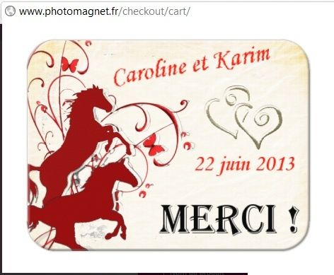 idée magnet